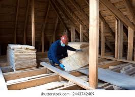 Best Eco-Friendly or Green Insulation Solutions  in Travilah, MD