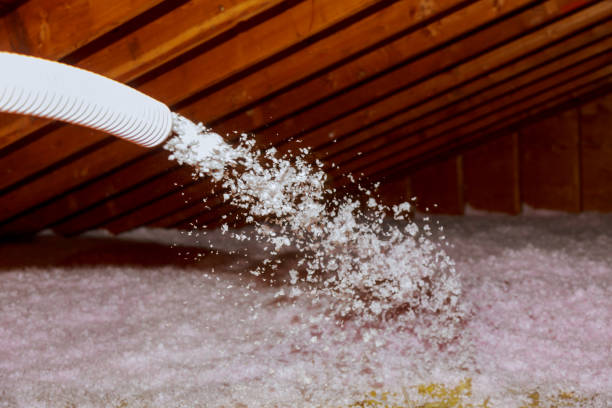 Best Attic Insulation Installation  in Travilah, MD