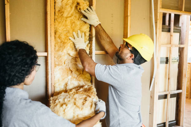 Best Basement Insulation  in Travilah, MD