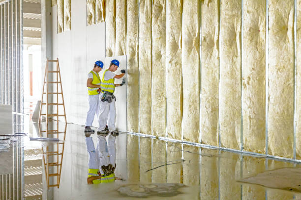 Best Garage Insulation  in Travilah, MD